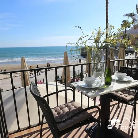 Alegria Σίτζες